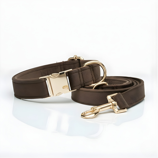Elm & Paw Collar & Leash Set